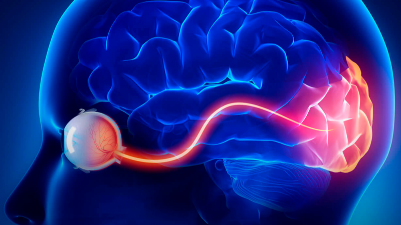 Neuro-Oftalmología